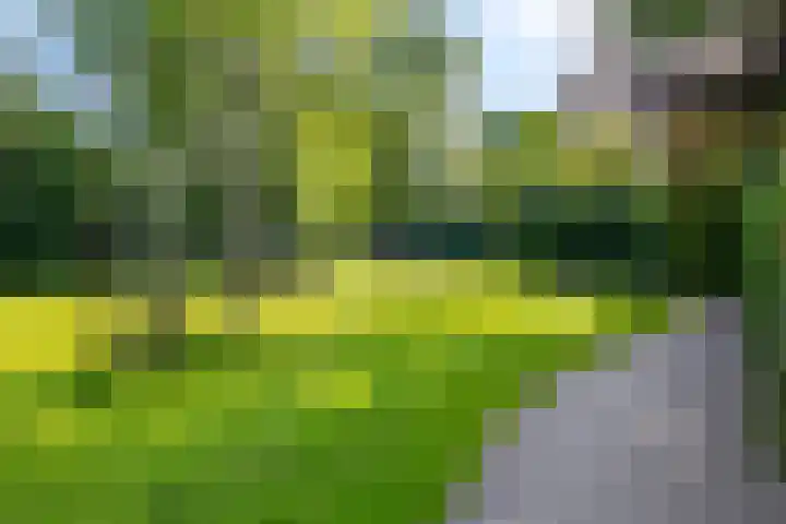 Waterbieskreek 56 Leiderdorp thumbnail 45