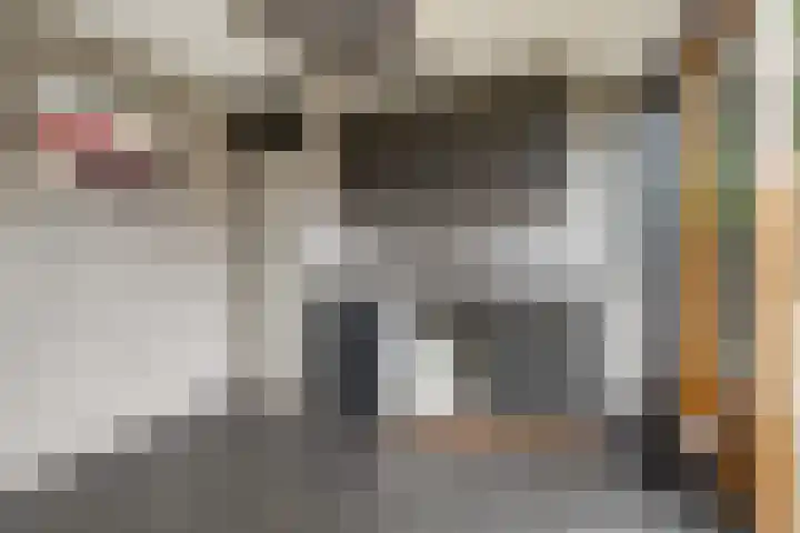 Waterbieslaan 11 Vleuten thumbnail 11