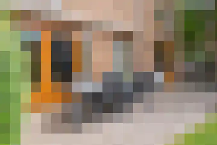 Waterbieslaan 11 Vleuten thumbnail 12