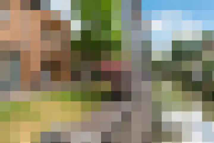 Waterbieslaan 11 Vleuten thumbnail 14