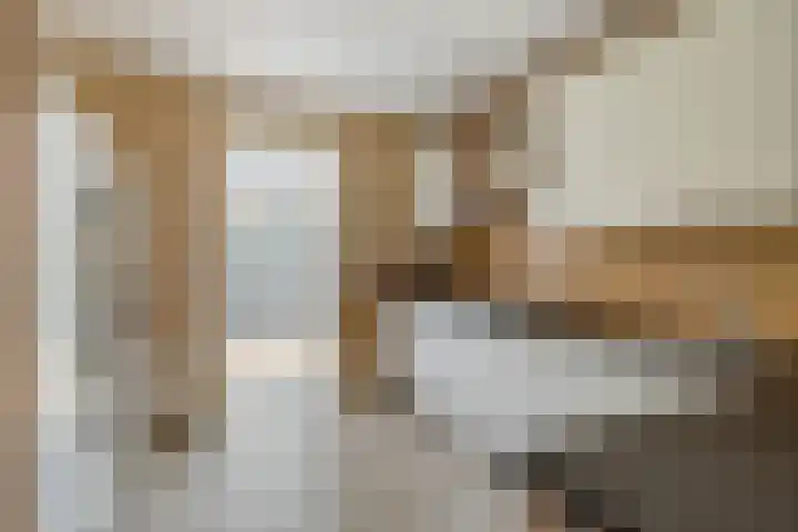 Waterbieslaan 11 Vleuten thumbnail 20