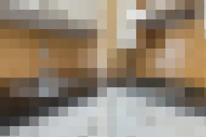 Waterbieslaan 11 Vleuten thumbnail 21