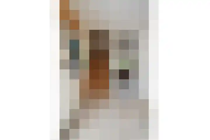 Waterbieslaan 11 Vleuten thumbnail 23