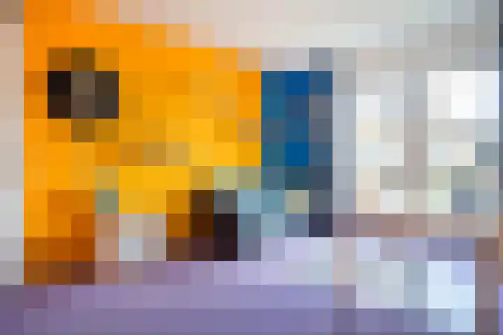 Waterbieslaan 11 Vleuten thumbnail 26
