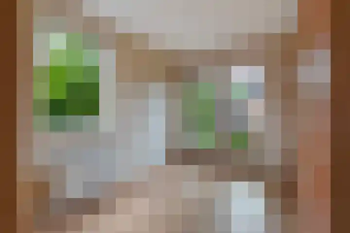 Waterbieslaan 11 Vleuten thumbnail 30