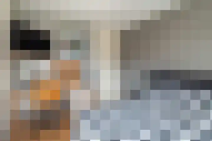 Waterbieslaan 11 Vleuten thumbnail 33