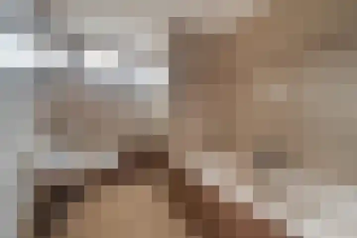 Waterbieslaan 11 Vleuten thumbnail 34