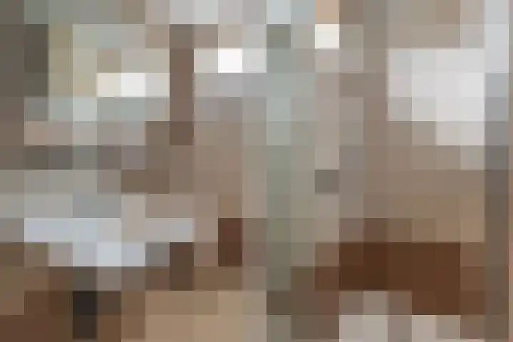 Waterbieslaan 11 Vleuten thumbnail 35