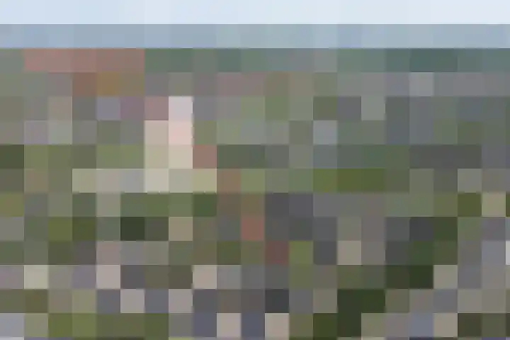 Waterbieslaan 11 Vleuten thumbnail 46