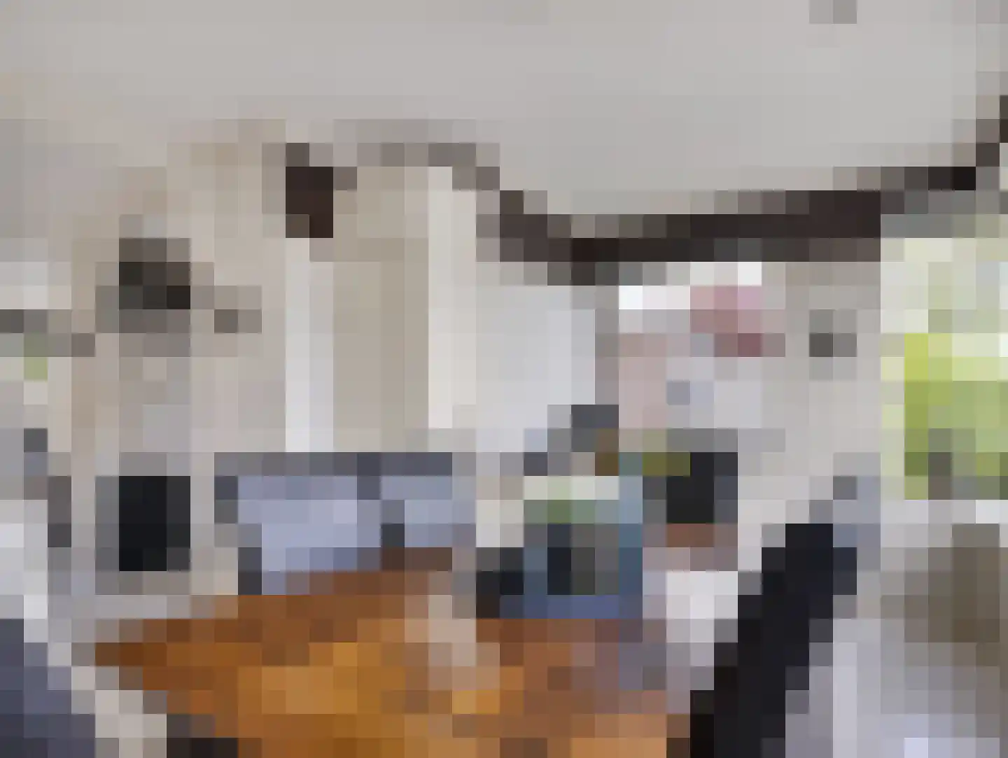 Waterbieslaan 21 Vleuten thumbnail 14