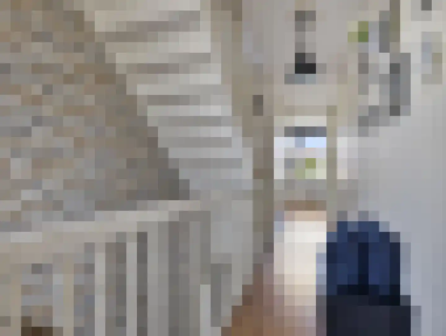 Waterbieslaan 21 Vleuten thumbnail 19
