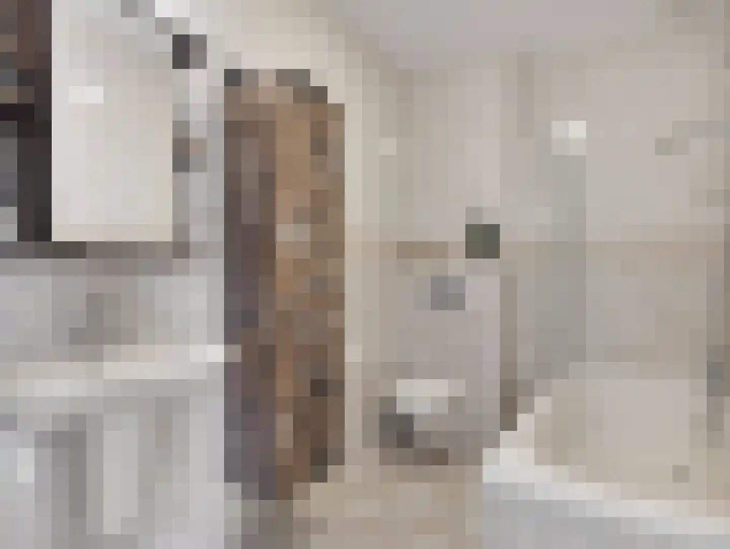 Waterbieslaan 21 Vleuten thumbnail 23