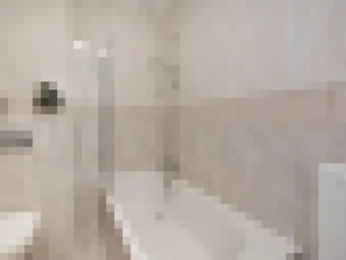 Waterbieslaan 21 Vleuten thumbnail 24