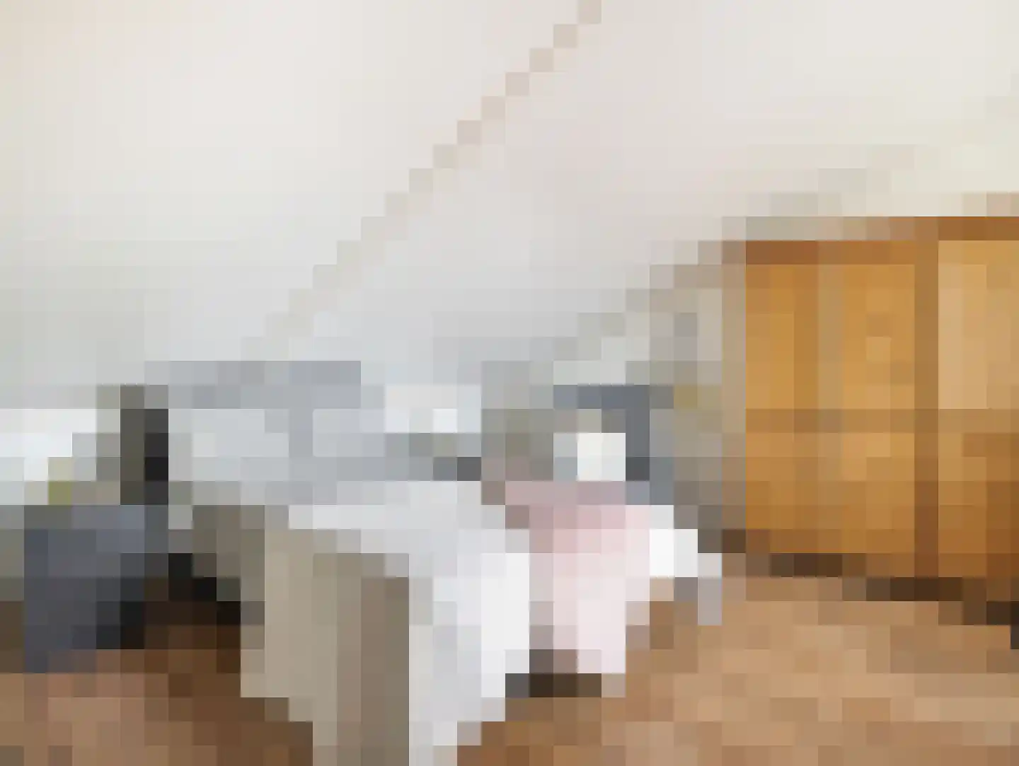 Waterbieslaan 21 Vleuten thumbnail 33