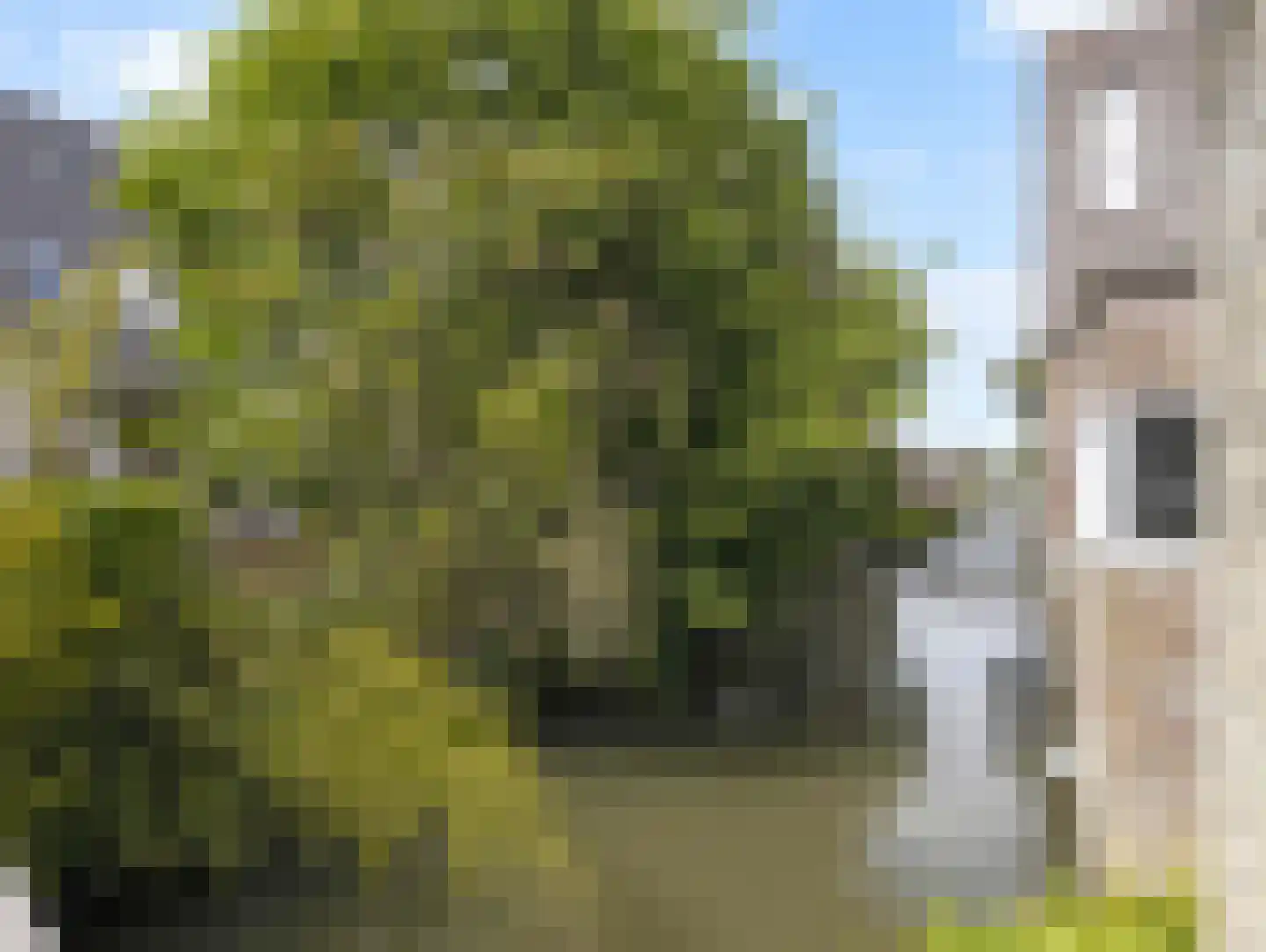 Waterbieslaan 21 Vleuten thumbnail 42