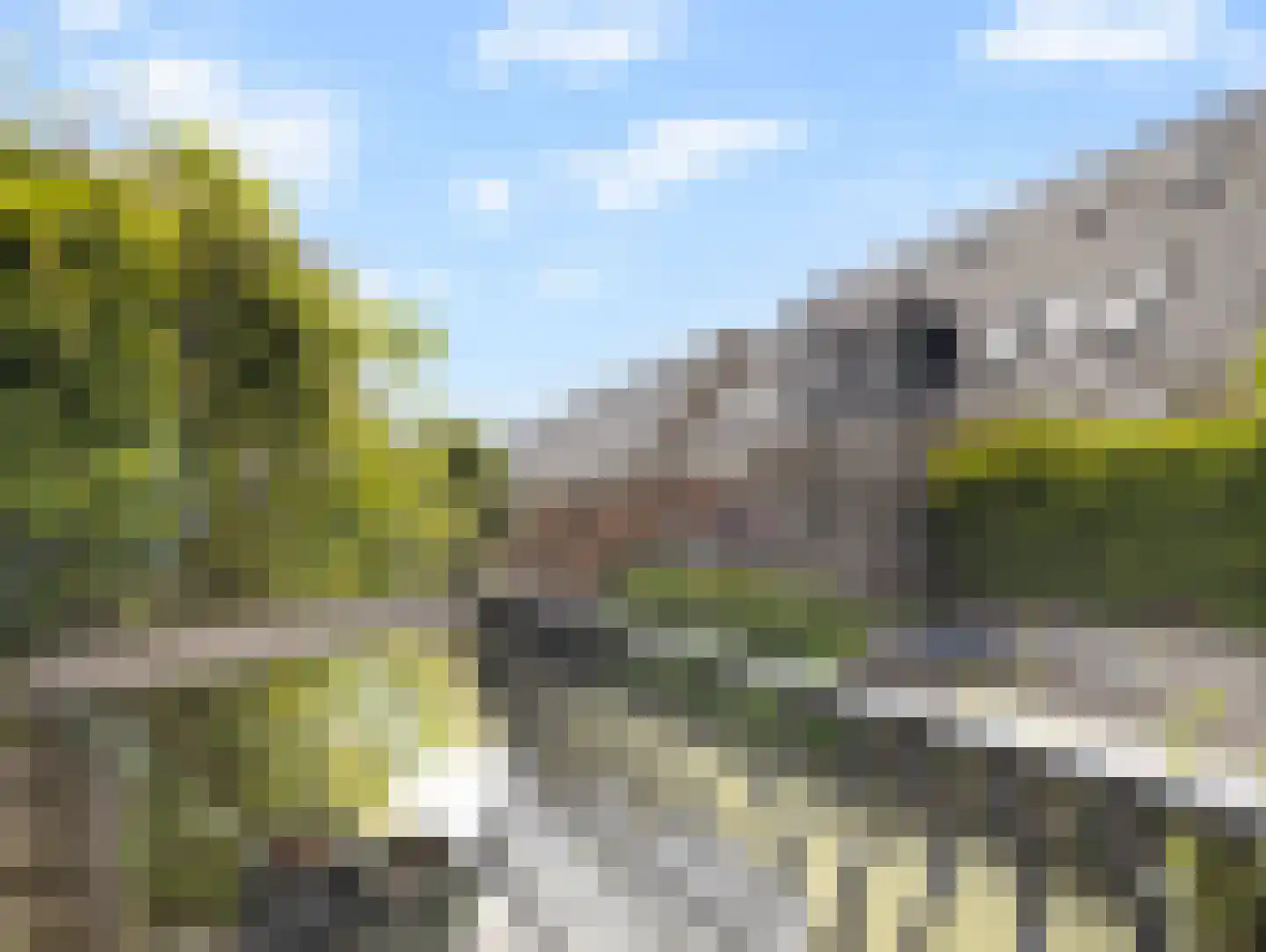 Waterbieslaan 21 Vleuten thumbnail 44