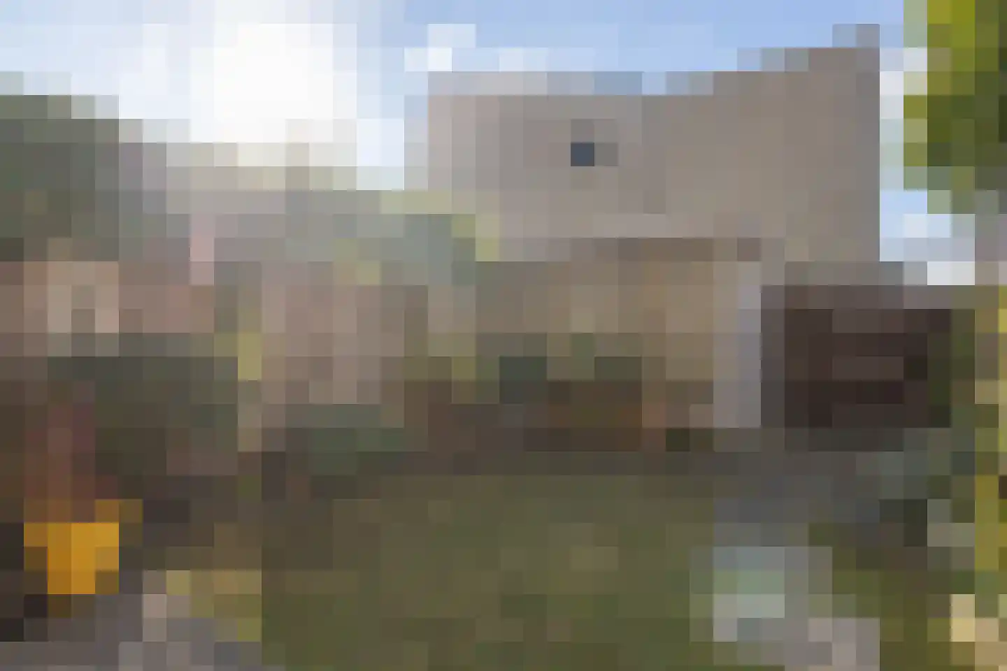Waterbieslaan 56 Vleuten thumbnail 11
