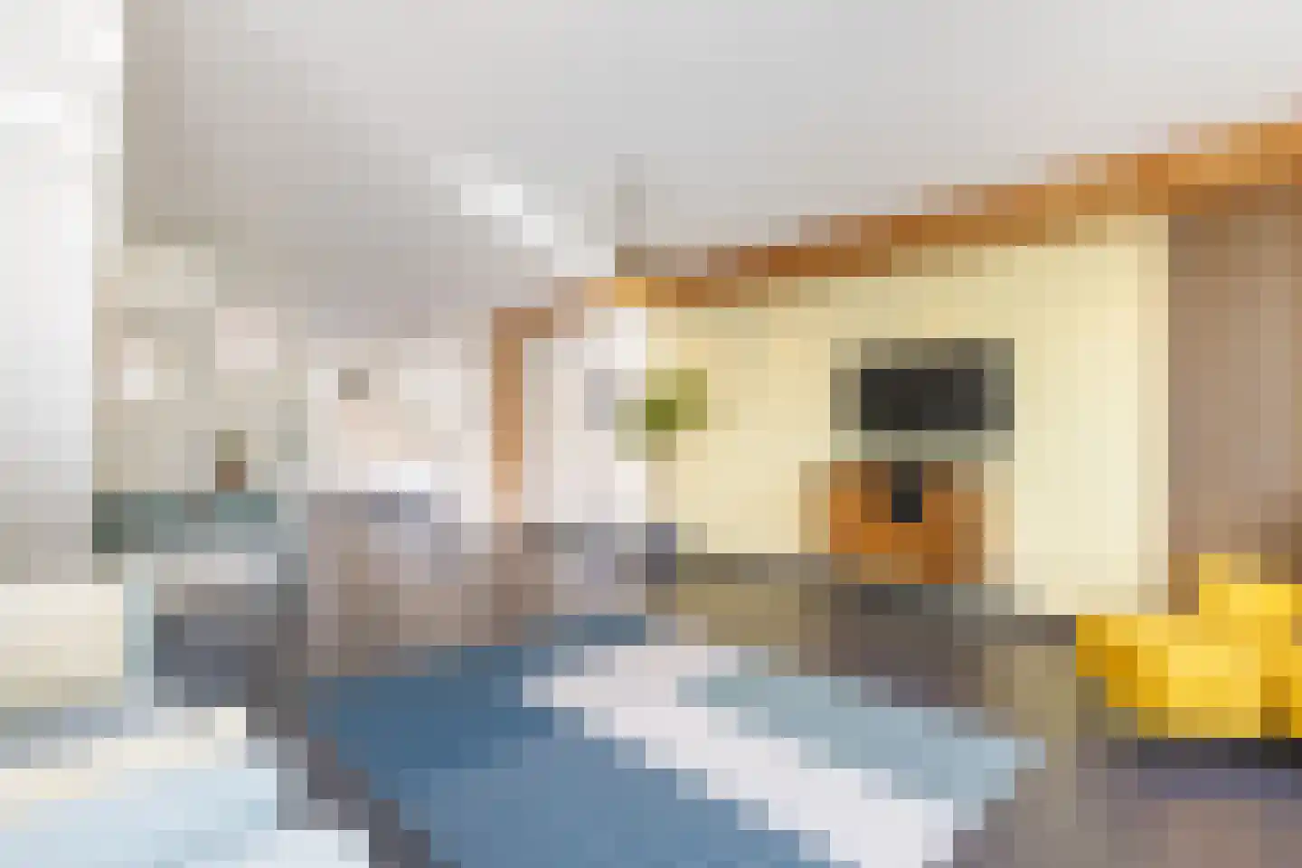 Waterbieslaan 56 Vleuten thumbnail 14