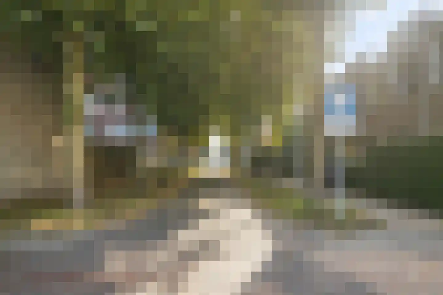 Waterbieslaan 56 Vleuten thumbnail 39