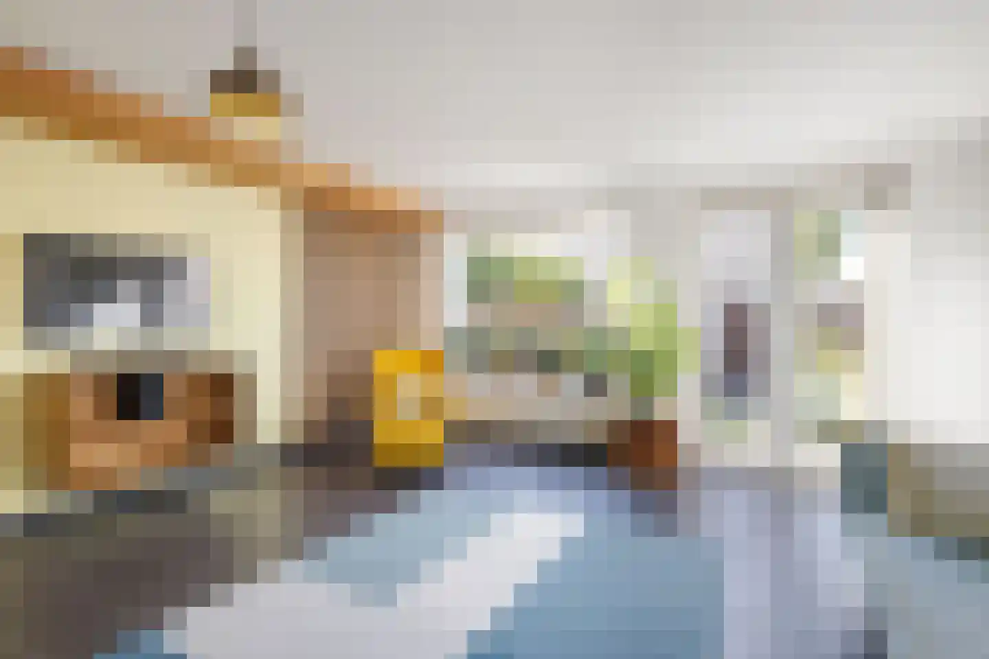 Waterbieslaan 56 Vleuten thumbnail 9