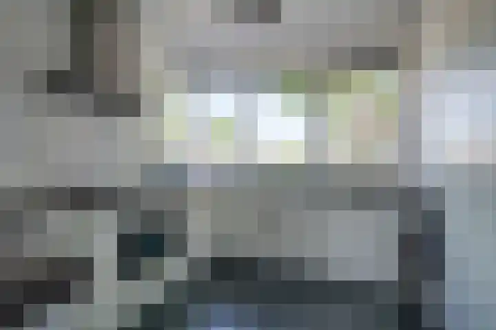 Waterbieslaan 86 Vleuten thumbnail 17
