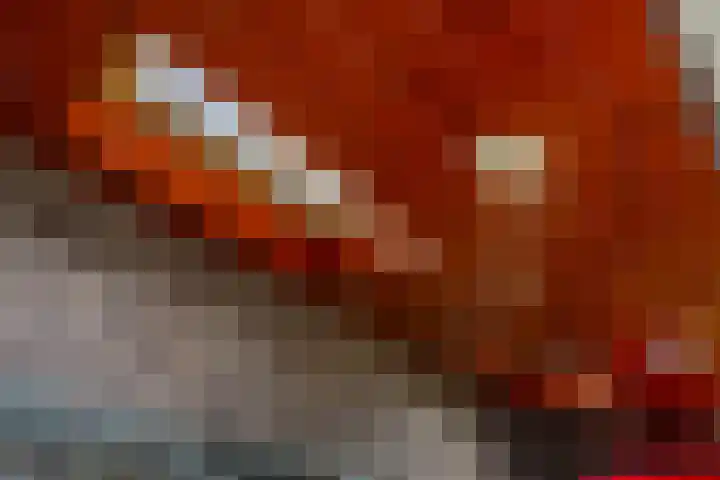Waterbieslaan 86 Vleuten thumbnail 25