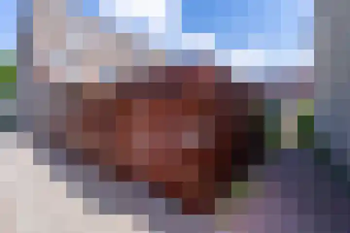 Waterbieslaan 86 Vleuten thumbnail 26