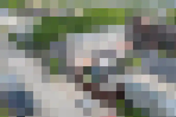 Waterbieslaan 86 Vleuten thumbnail 48