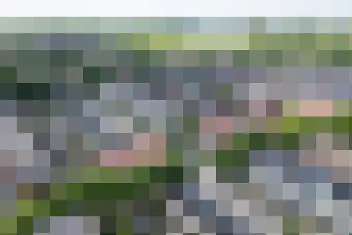 Waterbieslaan 86 Vleuten thumbnail 49