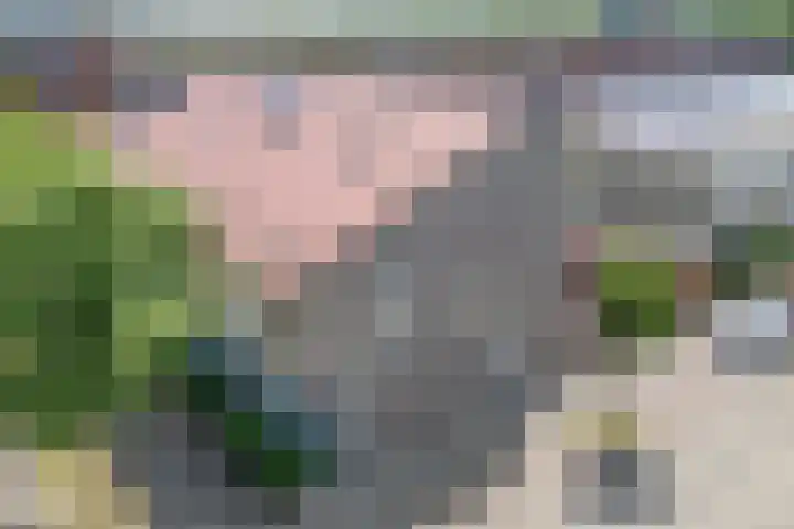 Waterbieslaan 86 Vleuten thumbnail 6