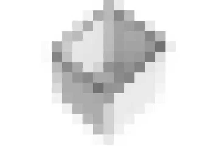 Waterbieslaan 86 Vleuten thumbnail 64