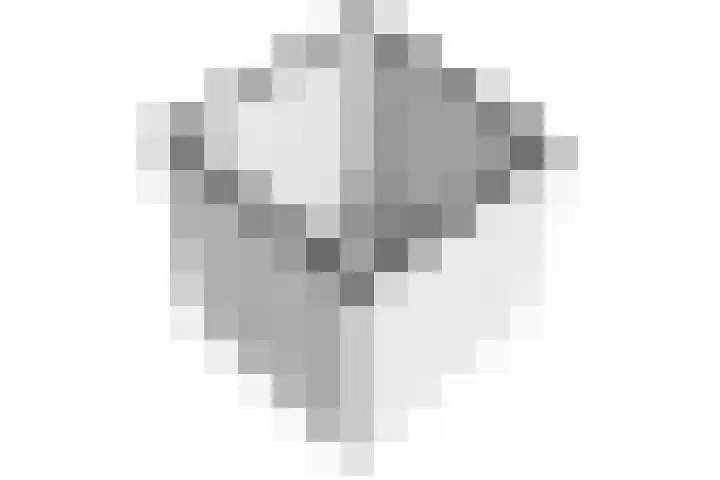 Waterbieslaan 86 Vleuten thumbnail 65