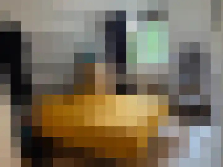 Waterblok 75 Delft thumbnail 7