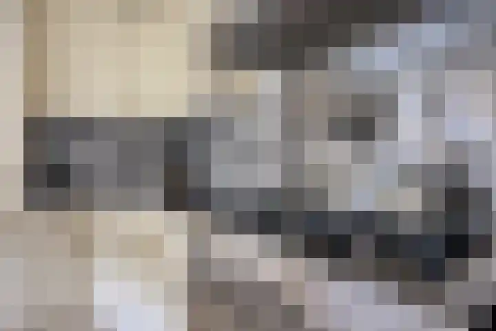 Waterblok 77 Delft thumbnail 13