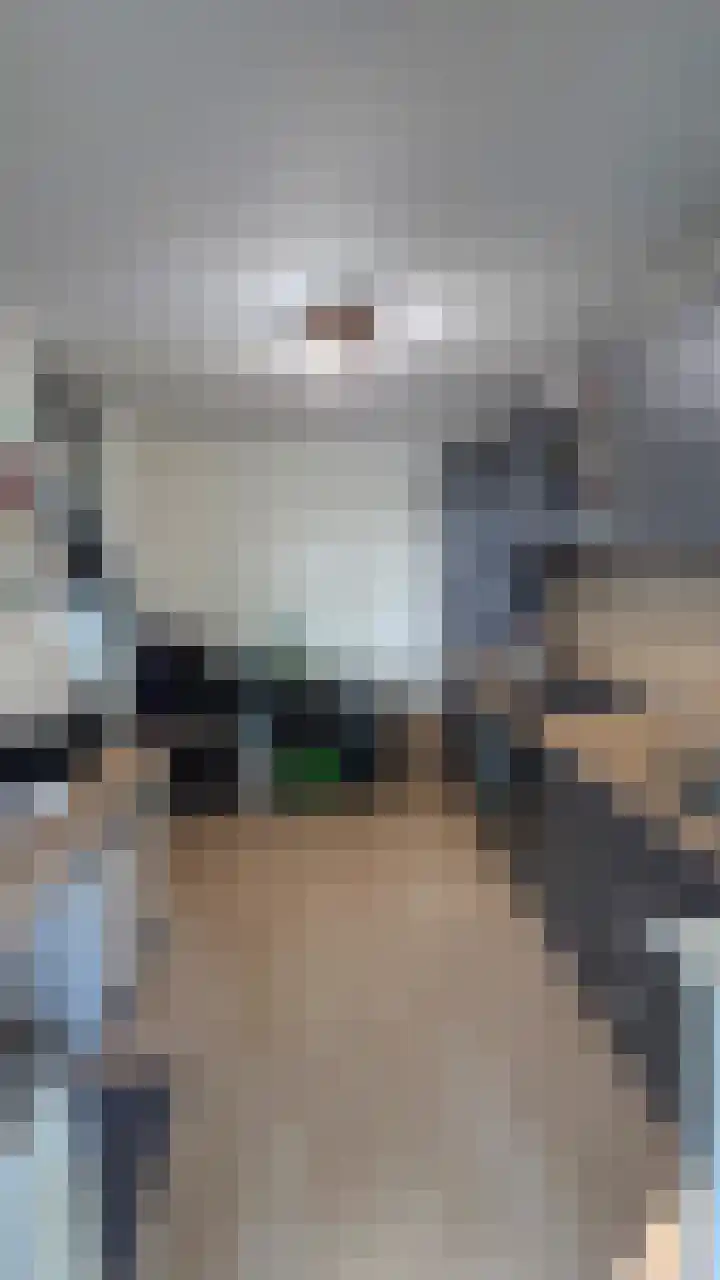 Waterblok 95 Delft thumbnail 6