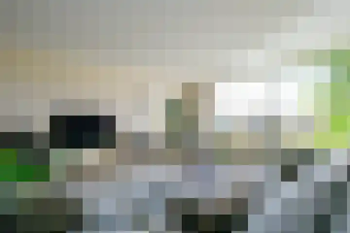 Waterborg 245 Medemblik thumbnail 12