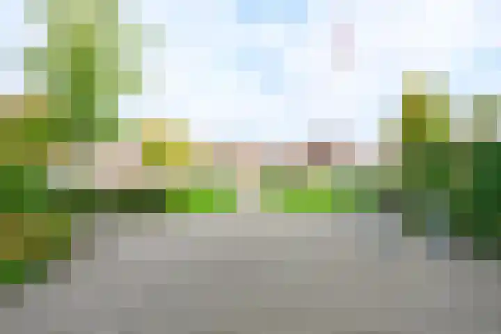 Waterborg 245 Medemblik thumbnail 40
