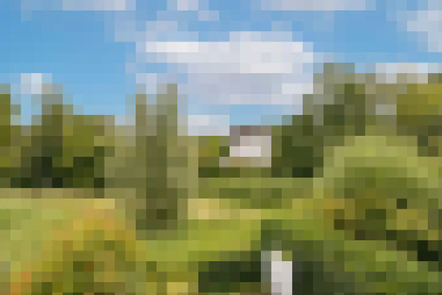 Waterborgh 16 Oisterwijk thumbnail 27