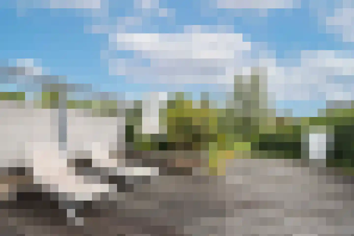 Waterborgh 16 Oisterwijk thumbnail 33