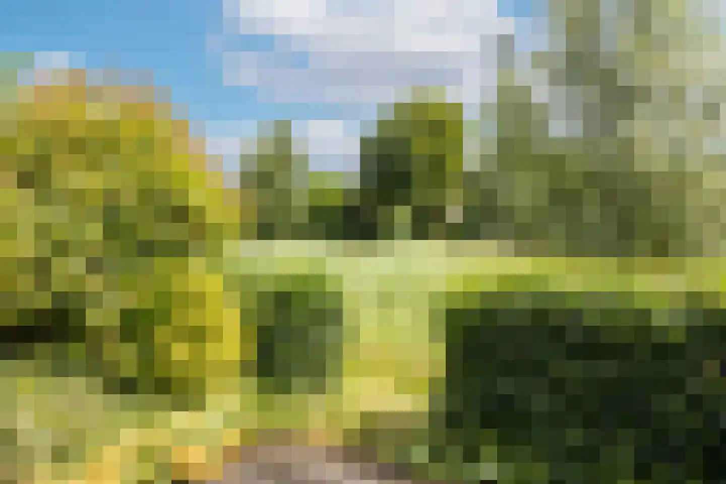 Waterborgh 16 Oisterwijk thumbnail 35