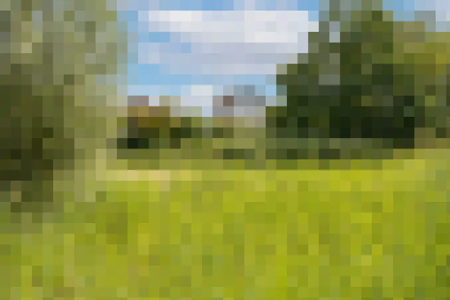 Waterborgh 16 Oisterwijk thumbnail 36