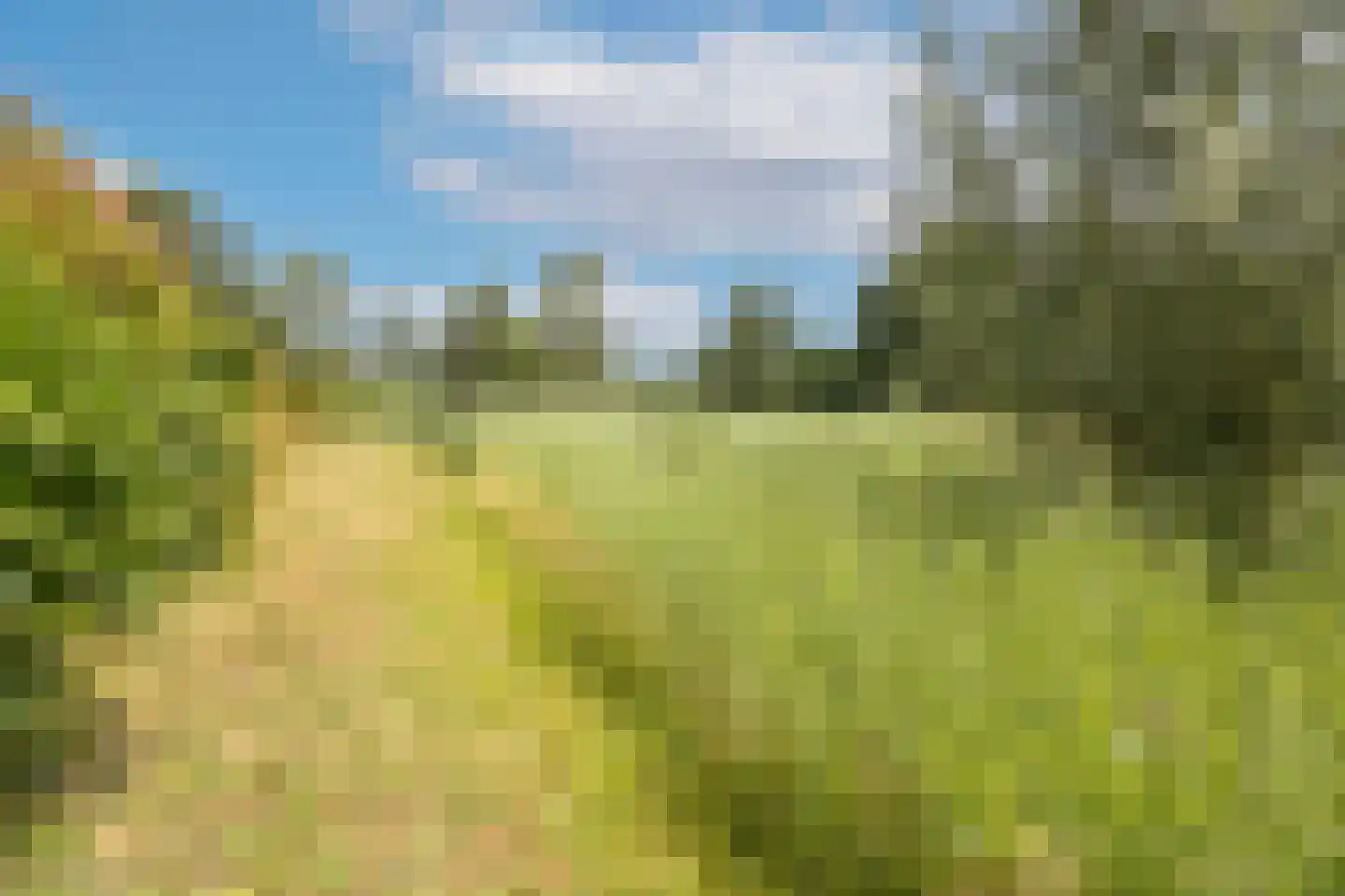 Waterborgh 16 Oisterwijk thumbnail 37
