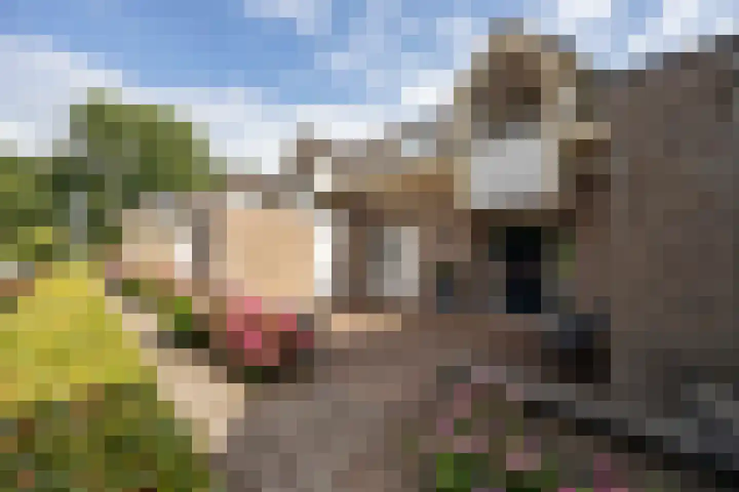 Waterborgh 16 Oisterwijk thumbnail 7