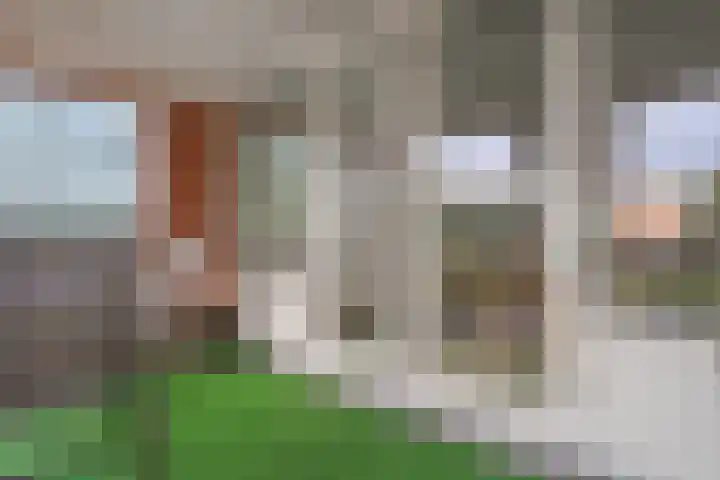 Waterborgh 4 Leek thumbnail 10
