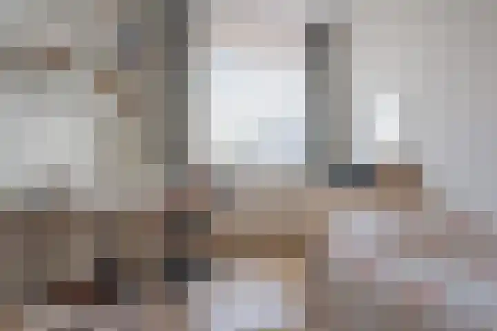 Waterborgh 4 Leek thumbnail 26