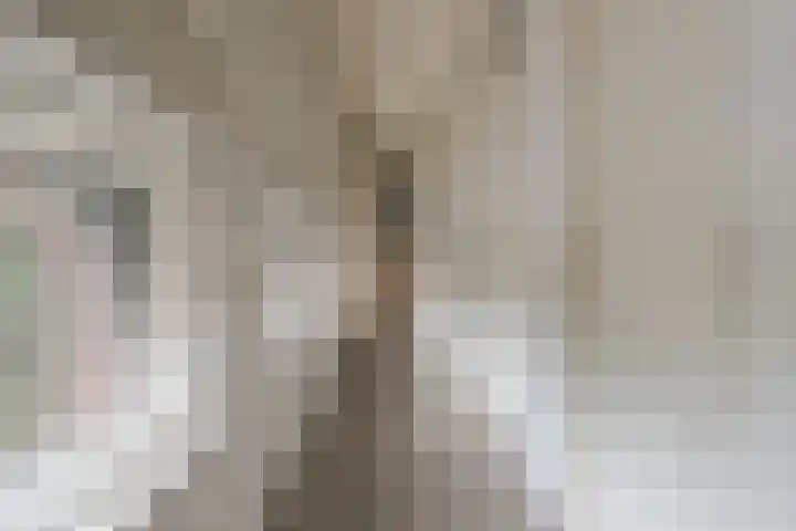 Waterborgh 4 Leek thumbnail 39