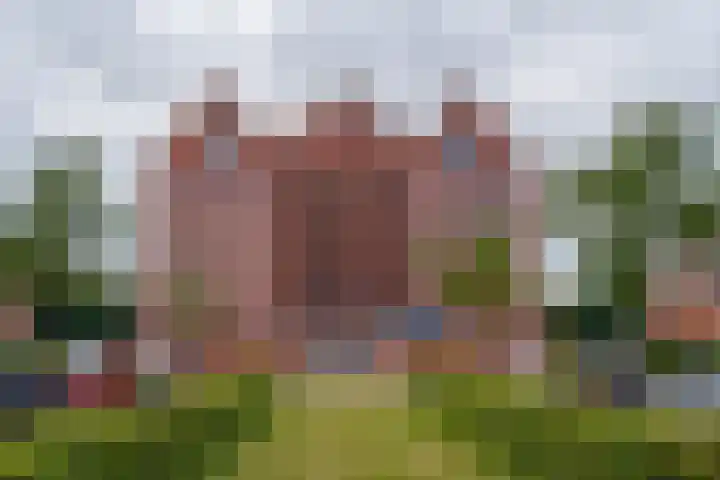 Waterborgh 4 Leek thumbnail 45