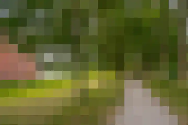 Waterborgh 4 Leek thumbnail 47