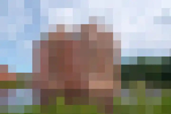 Waterborgh 4 Leek thumbnail 5