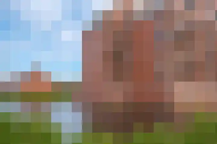 Waterborgh 4 Leek thumbnail 6